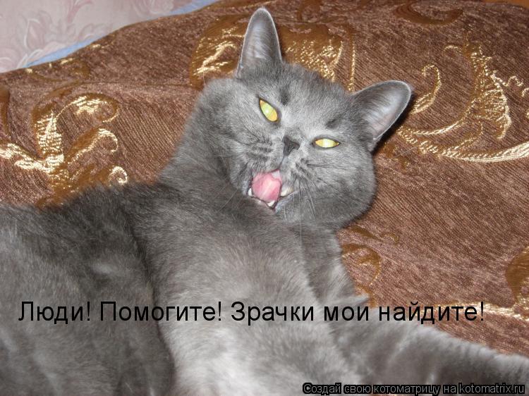 Люди! Помогите! Зрачки мои найдите!... Котоматрица: Люди! Помогите! Зрачки мои найдите!