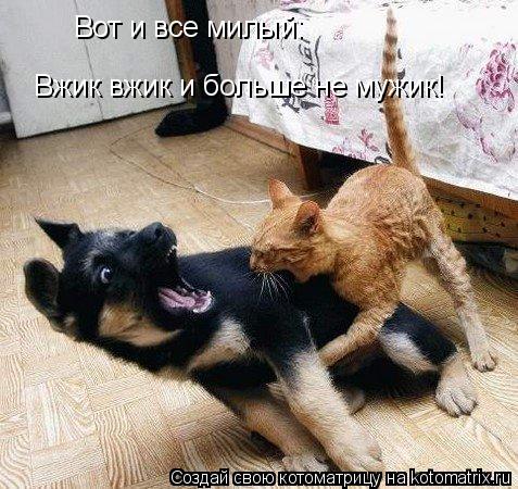 Вот и все милый: Вжик вжик и больше не мужик!... Котоматрица: Вот и все милый: Вжик вжик и больше не мужик!