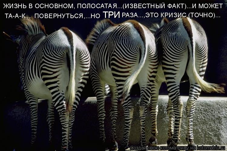 ЖИЗНЬ В ОСНОВНОМ, ПОЛОСАТАЯ...(ИЗВЕСТНЫЙ ФАКТ)...И МОЖЕТ ТА-А-К... ПОВЕРНУТЬСЯ,...НО ТРИ РАЗА...,Э... Котоматрица: ЖИЗНЬ В ОСНОВНОМ, ПОЛОСАТАЯ...(ИЗВЕСТНЫЙ ФАКТ)...И МОЖЕТ ТА-А-К... ПОВЕРНУТЬСЯ,...НО ТРИ РАЗА...,ЭТО КРИЗИС (ТОЧНО)...