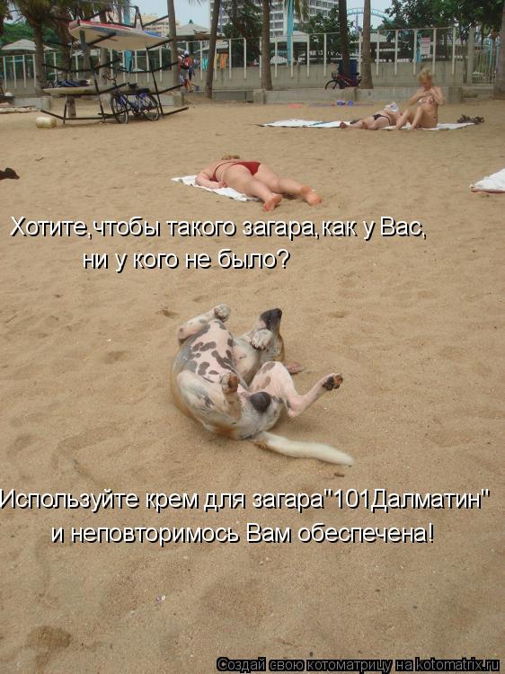 Котоматрица: Хотите,чтобы такого загара,как у Вас, ни у кого не было? Используйте крем для загара"101Далматин" и неповторимось Вам обеспечена!