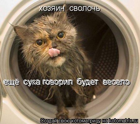 Котоматрица: хозяин  сволочь ещё  сука говорил  будет  весело ещё  сука говорил  будет  весело