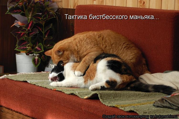 Тактика бистбесского маньяка...... Котоматрица: Тактика бистбесского маньяка...