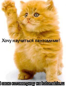 Хочу научиться пантомиме!... Котоматрица: Хочу научиться пантомиме!