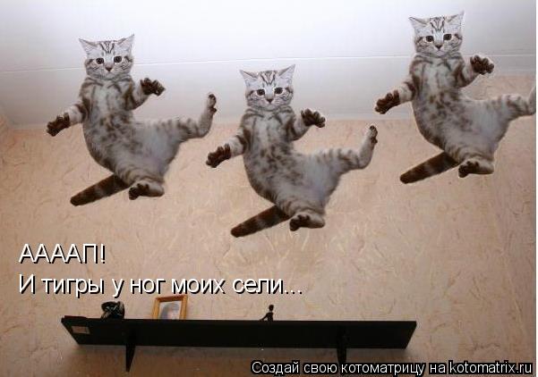 Котоматрица: ААААП! И тигры у ног моих сели...
