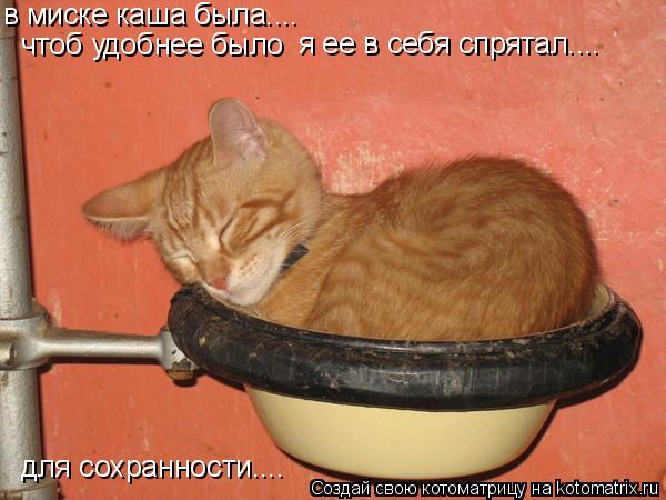 в миске каша была.... чтоб удобнее было я ее в себя спрятал.... для сохранности....... Котоматрица: в миске каша была.... чтоб удобнее было я ее в себя спрятал.... для сохранности....