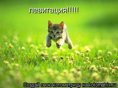 левитация!!!!!... Котоматрица: левитация!!!!!