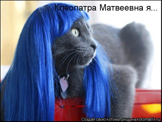 Клеопатра Матвеевна я...... Котоматрица: Клеопатра Матвеевна я...