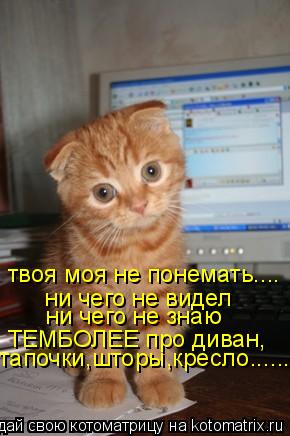 Котоматрица: твоя моя не понемать.... ни чего не видел ни чего не знаю тапочки,шторы,кресло...... ТЕМБОЛЕЕ про диван,