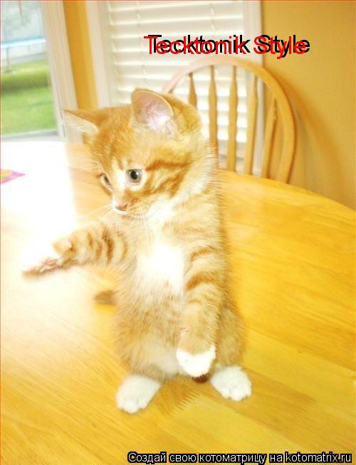 Tecktonik Style Tecktonik Style... Котоматрица: Tecktonik Style Tecktonik Style