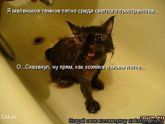 Я маленькое темное пятно среди светлого пространства... О...Сказанул, ну прям, как хозяйка о моем лот... Котоматрица: Я маленькое темное пятно среди светлого пространства... О...Сказанул, ну прям, как хозяйка о моем лотке...