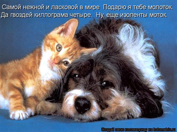 Самой нежной и ласковой в мире Подарю я тебе молоток. Да гвоздей киллограма четыре. Ну, еще изолент... Котоматрица: Самой нежной и ласковой в мире Подарю я тебе молоток. Да гвоздей киллограма четыре. Ну, еще изоленты моток.