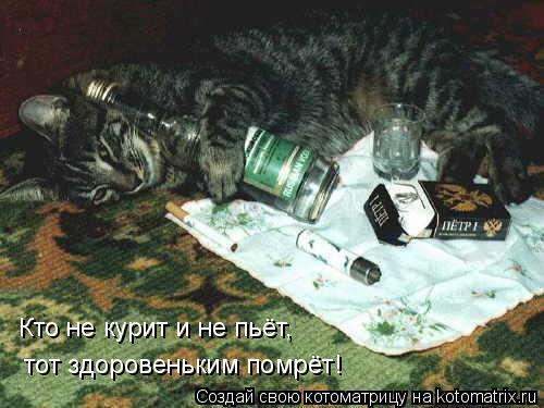 Кто не курит и не пьёт, тот здоровеньким помрёт!... Котоматрица: Кто не курит и не пьёт, тот здоровеньким помрёт!