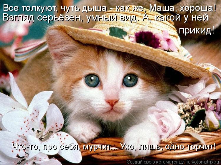 Все толкуют, чуть дыша - как же, Маша, хороша! Взгляд серьёзен, умный вид. А, какой у ней прикид! Что... Котоматрица: Все толкуют, чуть дыша - как же, Маша, хороша! Взгляд серьёзен, умный вид. А, какой у ней прикид! Что-то, про себя, мурчит... Ухо, лишь, одно торчит!