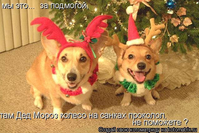 мы это... за подмогой, там Дед Мороз колесо на санках проколол, не поможете ?... Котоматрица: мы это... за подмогой, там Дед Мороз колесо на санках проколол, не поможете ?