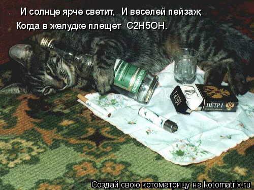 И солнце ярче светит, И веселей пейзаж, Когда в желудке плещет C2H5OH.... Котоматрица: И солнце ярче светит, И веселей пейзаж, Когда в желудке плещет C2H5OH.