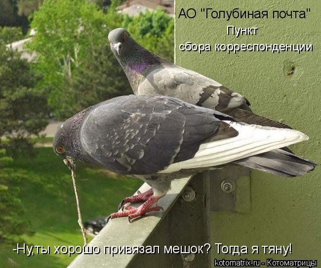 АО "Голубиная почта" Пункт сбора корреспонденции -Ну,ты хорошо привязал мешок? Тогда я тяну!... Котоматрица: АО "Голубиная почта" Пункт сбора корреспонденции -Ну,ты хорошо привязал мешок? Тогда я тяну!