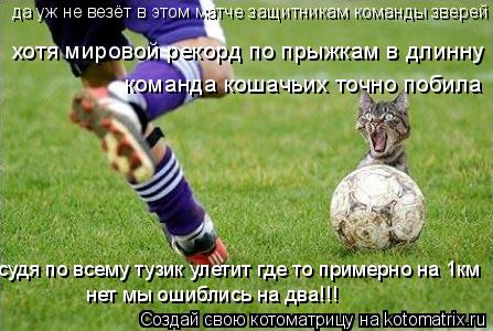 да уж не везёт в этом матче защитникам команды зверей хотя мировой рекорд по прыжкам в длинну команда... Котоматрица: да уж не везёт в этом матче защитникам команды зверей хотя мировой рекорд по прыжкам в длинну команда кошачьих точно побила судя по всему т
