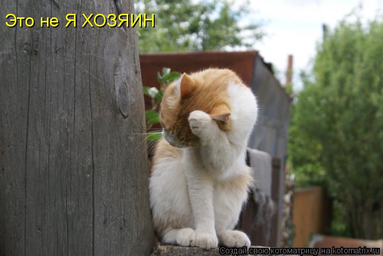 Котоматрица: Это не Я ХОЗЯИН