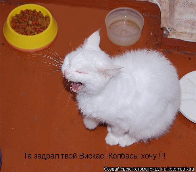 Та задрал твой Вискас! Колбасы хочу !!!... Котоматрица: Та задрал твой Вискас! Колбасы хочу !!!