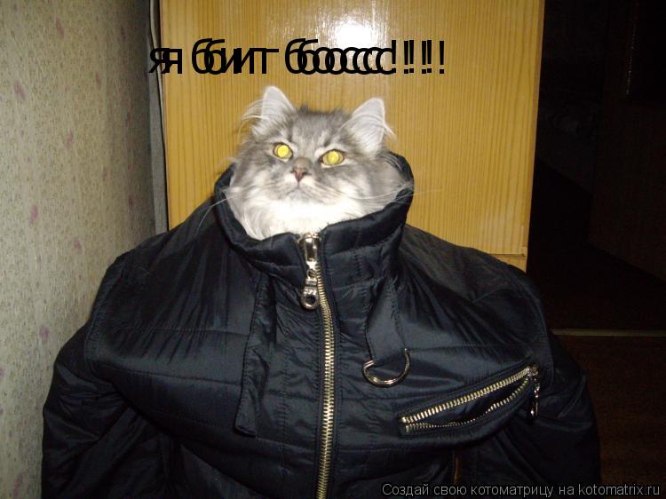 Котоматрица: я биг босс!!! я биг босс!!!