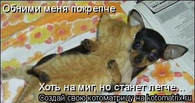 Обними меня покрепче Хоть на миг, но станет легче...... Котоматрица: Обними меня покрепче Хоть на миг, но станет легче...