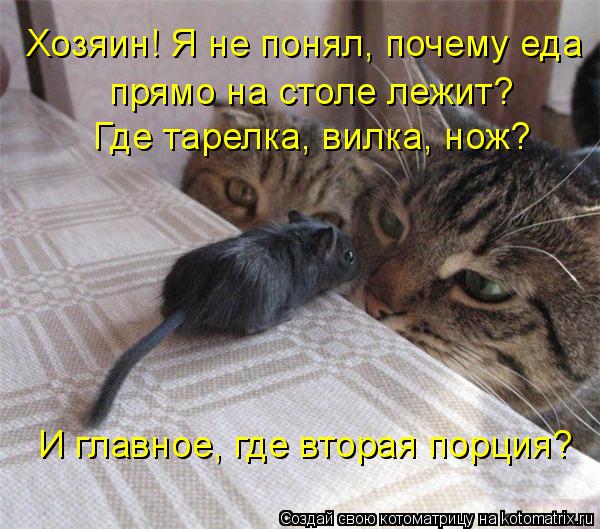 Хозяин! Я не понял, почему еда прямо на столе лежит? Где тарелка, вилка, нож? И главное, где вторая п... Котоматрица: Хозяин! Я не понял, почему еда прямо на столе лежит? Где тарелка, вилка, нож? И главное, где вторая порция?