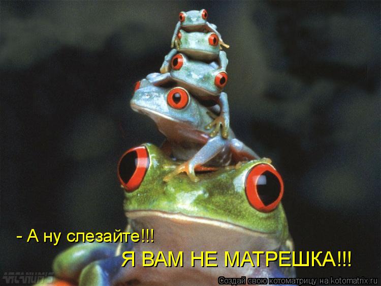 - А ну слезайте!!! Я ВАМ НЕ МАТРЕШКА!!!... Котоматрица: - А ну слезайте!!! Я ВАМ НЕ МАТРЕШКА!!!