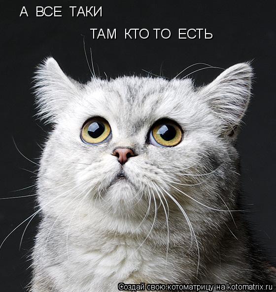 А ВСЕ ТАКИ ТАМ КТО ТО ЕСТЬ ТАМ КТО ТО ЕСТЬ... Котоматрица: А ВСЕ ТАКИ ТАМ КТО ТО ЕСТЬ ТАМ КТО ТО ЕСТЬ