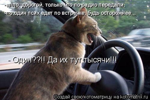 -алло, дорогой, только что по радио передали, что один псих едет по встречке, будь осторожнее... - Од... Котоматрица: -алло, дорогой, только что по радио передали, что один псих едет по встречке, будь осторожнее... - Один??!! Да их тут тысячи!!!