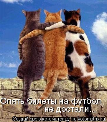 Опять билеты на футбол не достали...... Котоматрица: Опять билеты на футбол не достали...