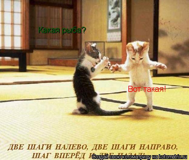 Котоматрица: Какая рыба? Вот такая!