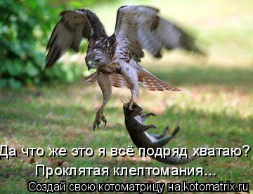 Да что же это я всё подряд хватаю? Проклятая клептомания...... Котоматрица: Да что же это я всё подряд хватаю? Проклятая клептомания...