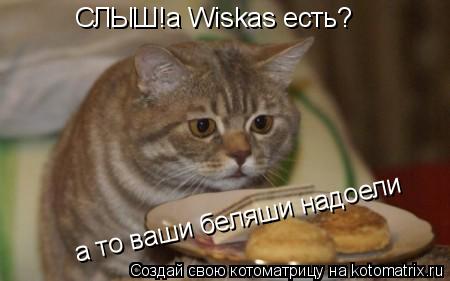 СЛЫШ!а Wiskas есть? а то ваши беляши надоели... Котоматрица: СЛЫШ!а Wiskas есть? а то ваши беляши надоели