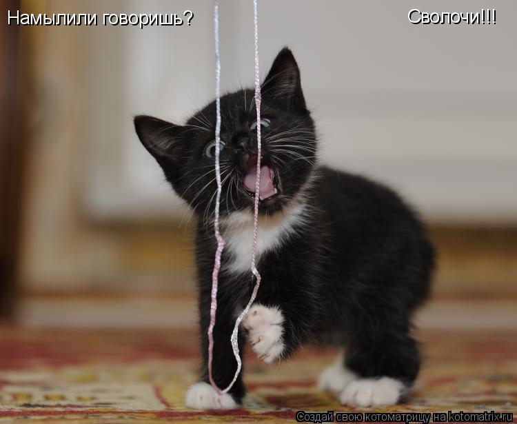 Намылили говоришь? Сволочи!!!... Котоматрица: Намылили говоришь? Сволочи!!!
