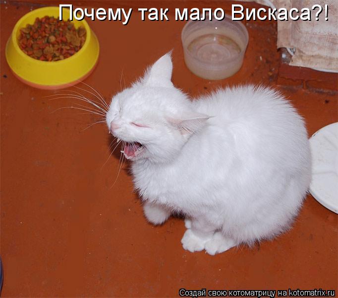 Почему так мало Вискаса?!... Котоматрица: Почему так мало Вискаса?!