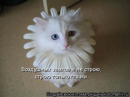 Воздушных замков я не строю, строю только глазки.... Котоматрица: Воздушных замков я не строю, строю только глазки.