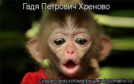 Гадя Петрович Хреново... Котоматрица: Гадя Петрович Хреново
