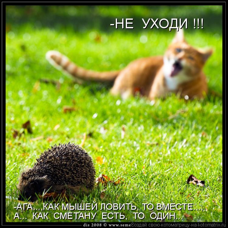 -НЕ УХОДИ !!! -АГА...,КАК МЫШЕЙ ЛОВИТЬ, ТО ВМЕСТЕ..., А... КАК СМЕТАНУ ЕСТЬ, ТО ОДИН...... Котоматрица: -НЕ УХОДИ !!! -АГА...,КАК МЫШЕЙ ЛОВИТЬ, ТО ВМЕСТЕ..., А... КАК СМЕТАНУ ЕСТЬ, ТО ОДИН...