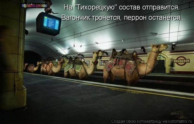 На "Тихорецкую" состав отправится. Вагончик тронется, перрон останется...... Котоматрица: На "Тихорецкую" состав отправится. Вагончик тронется, перрон останется...