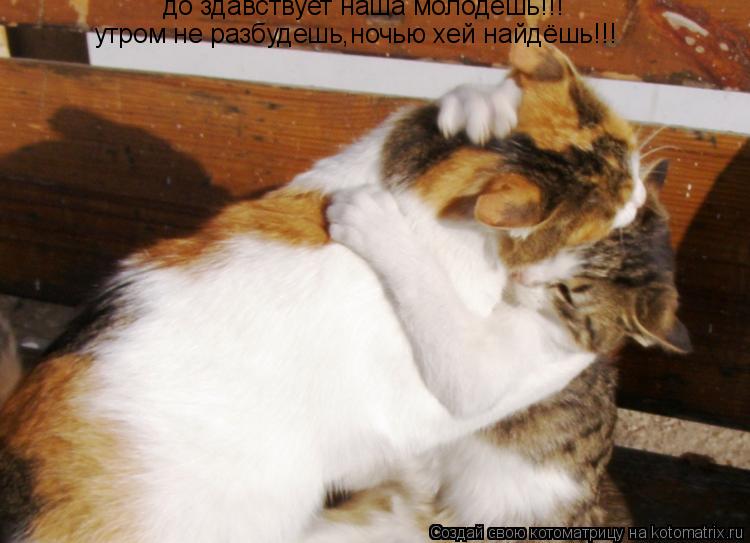 до здавствует наша молодёшь!!! утром не разбудешь,ночью хей найдёшь!!!... Котоматрица: до здавствует наша молодёшь!!! утром не разбудешь,ночью хей найдёшь!!!