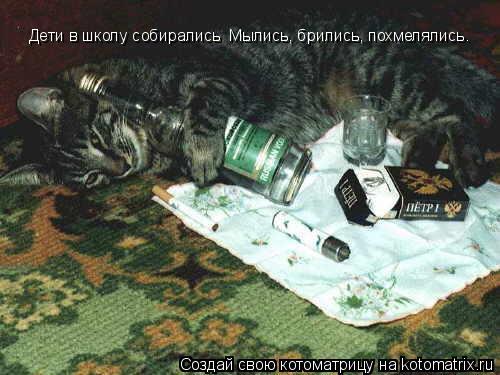 Дети в школу собирались Мылись, брились, похмелялись.... Котоматрица: Дети в школу собирались Мылись, брились, похмелялись.