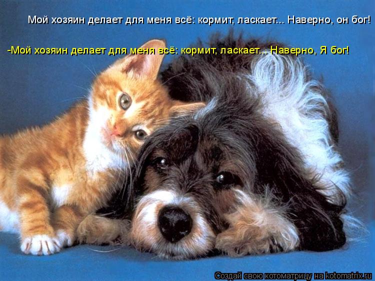 Котоматрица: Мой хозяин делает для меня всё: кормит, ласкает... Наверно, он бог! -Мой хозяин делает для меня всё: кормит, ласкает... Наверно, Я бог!