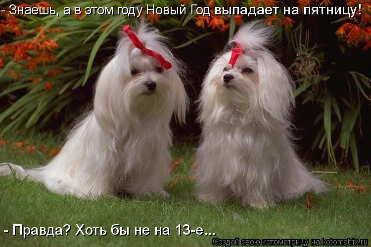 - Знаешь, а в этом году Новый Год выпадает на пятницу! - Правда? Хоть бы не на 13-е...... Котоматрица: - Знаешь, а в этом году Новый Год выпадает на пятницу! - Правда? Хоть бы не на 13-е...
