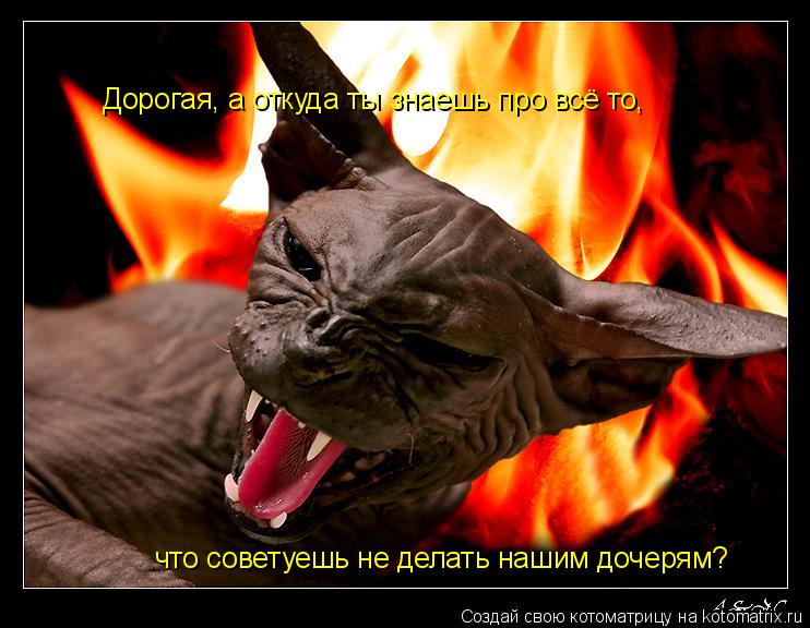 Дорогая, а откуда ты знаешь про всё то, что советуешь не делать нашим дочерям?... Котоматрица: Дорогая, а откуда ты знаешь про всё то, что советуешь не делать нашим дочерям?