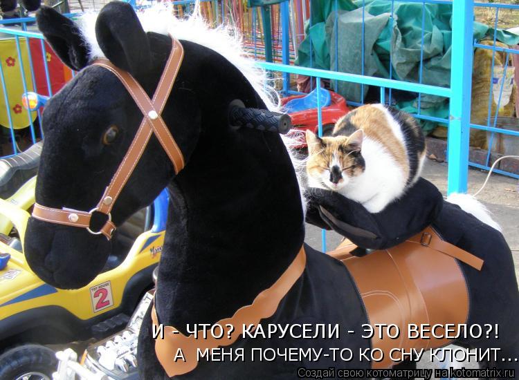 А МЕНЯ ПОЧЕМУ-ТО КО СНУ КЛОНИТ... И - ЧТО? КАРУСЕЛИ - ЭТО ВЕСЕЛО?!... Котоматрица: А МЕНЯ ПОЧЕМУ-ТО КО СНУ КЛОНИТ... И - ЧТО? КАРУСЕЛИ - ЭТО ВЕСЕЛО?!