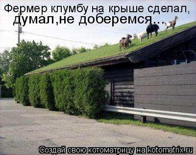 Фермер клумбу на крыше сделал, думал,не доберемся...... Котоматрица: Фермер клумбу на крыше сделал, думал,не доберемся...