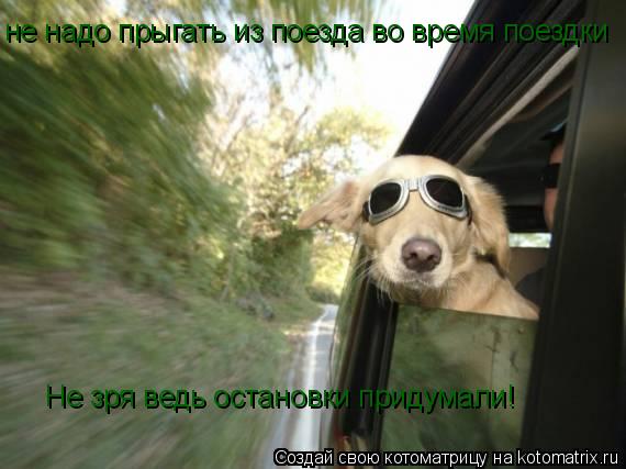 не надо прыгать из поезда во время поездки Не зря ведь остановки придумали!... Котоматрица: не надо прыгать из поезда во время поездки Не зря ведь остановки придумали!