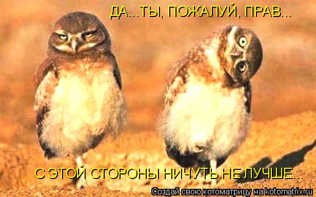 ДА...ТЫ, ПОЖАЛУЙ, ПРАВ... С ЭТОЙ СТОРОНЫ НИЧУТЬ НЕ ЛУЧШЕ...... Котоматрица: ДА...ТЫ, ПОЖАЛУЙ, ПРАВ... С ЭТОЙ СТОРОНЫ НИЧУТЬ НЕ ЛУЧШЕ...