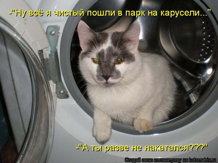 -"А ты разве не накатался???" -"Ну всё я чистый пошли в парк на карусели..."... Котоматрица: -"А ты разве не накатался???" -"Ну всё я чистый пошли в парк на карусели..."