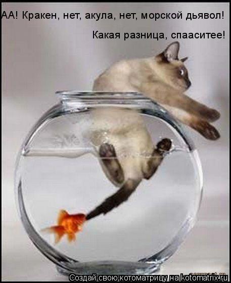АА! Кракен, нет, акула, нет, морской дьявол! Какая разница, спааситее!... Котоматрица: АА! Кракен, нет, акула, нет, морской дьявол! Какая разница, спааситее!